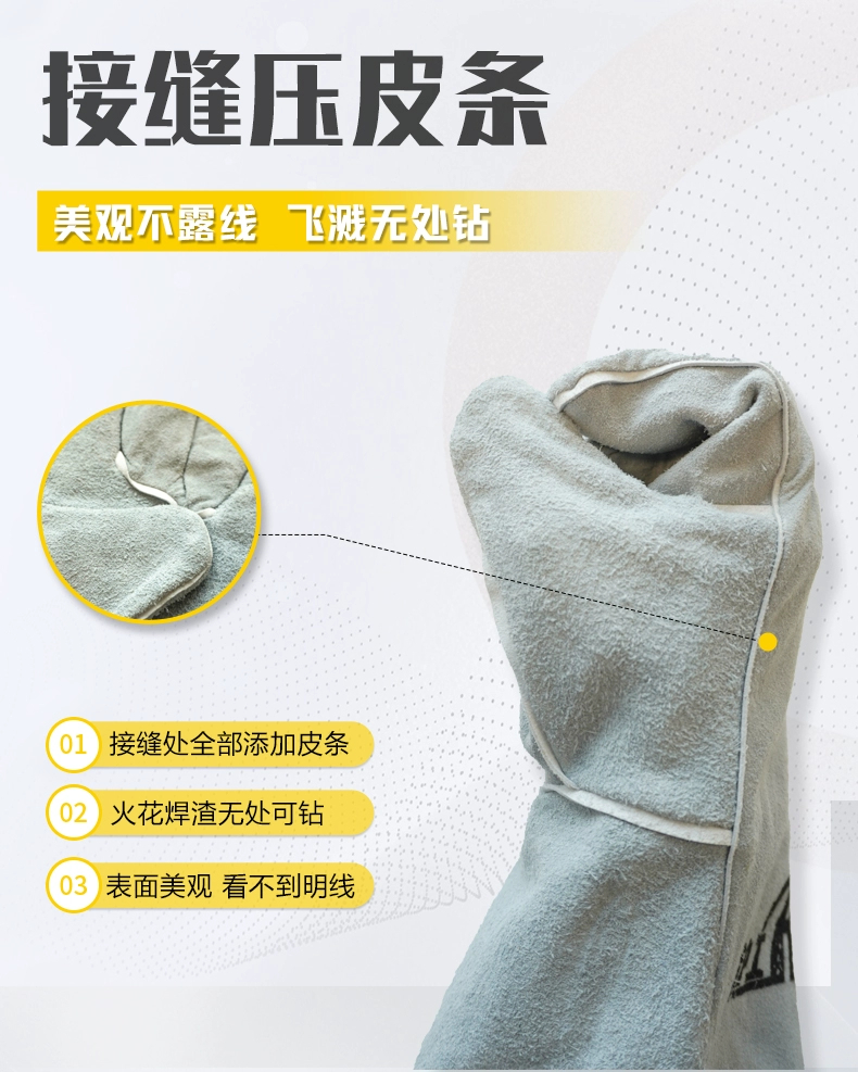 Z6尊龙旗舰厅(中国)官方网站