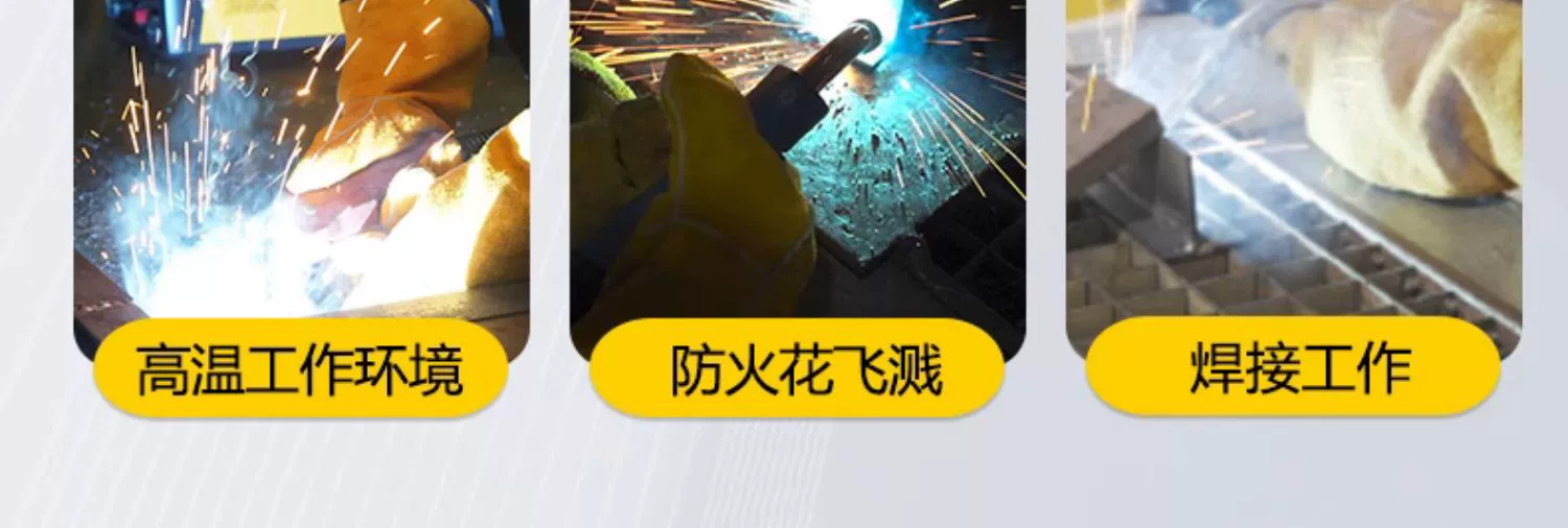 Z6尊龙旗舰厅(中国)官方网站